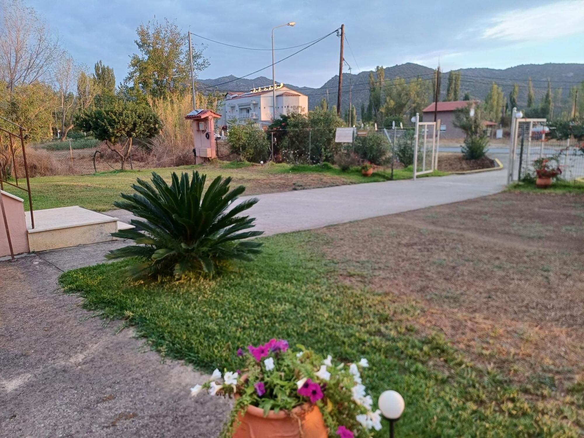 Villa Angela Sykia Chalkidikis Exteriör bild